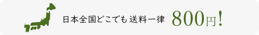 日本全国どこでも送料一律500円