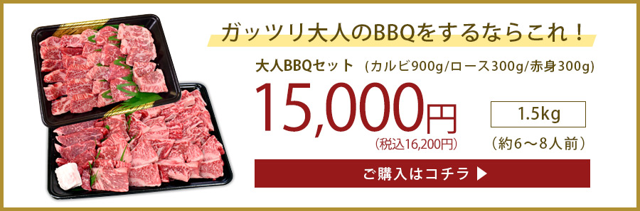 ガッツリ15000円
